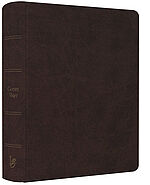Karl-Heinz Vanheiden: NeÜ - LIEBEZURBIBEL (Schreibrandbibel braun)