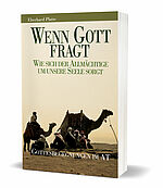 Eberhard Platte: Wenn Gott fragt ... - Wie sich der Allmächtige um unsere Seele sorgt – Gottesbegegnungen im AT