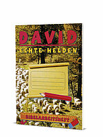 Ralf Kausemann (Hg.): Bibelarbeitsheft - David - Echte Helden